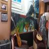 images/flyer/gallery/amalia/amalia_8.jpeg